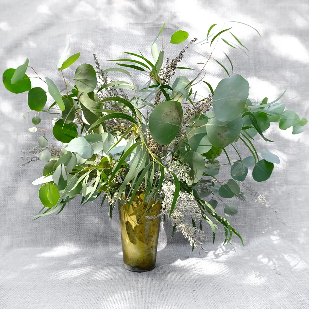 Foliage