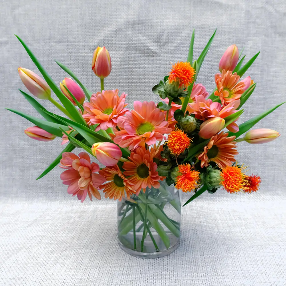 Monochromatic Arrangements - Orange\Yellow