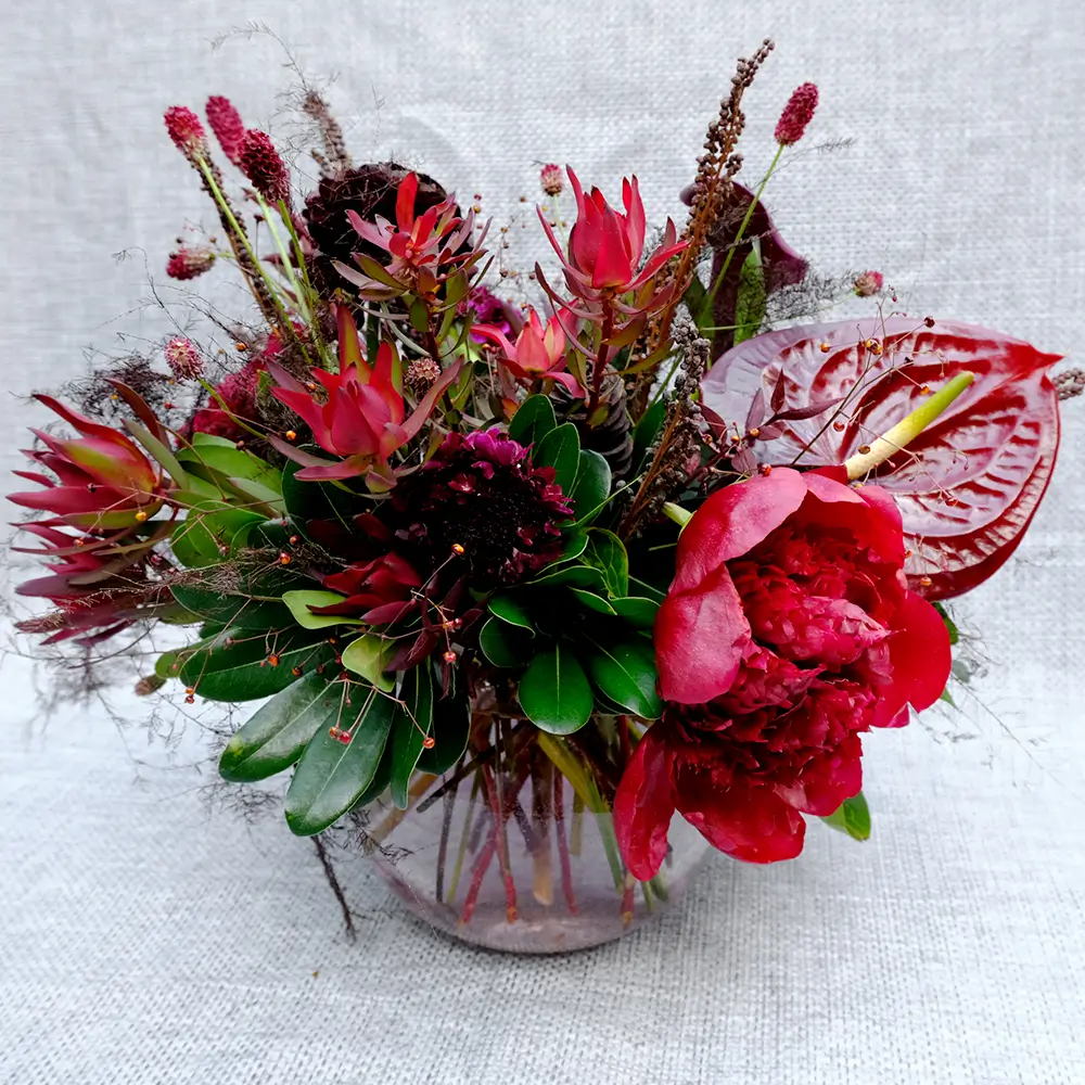Monochromatic Arrangements Burgundy\Red