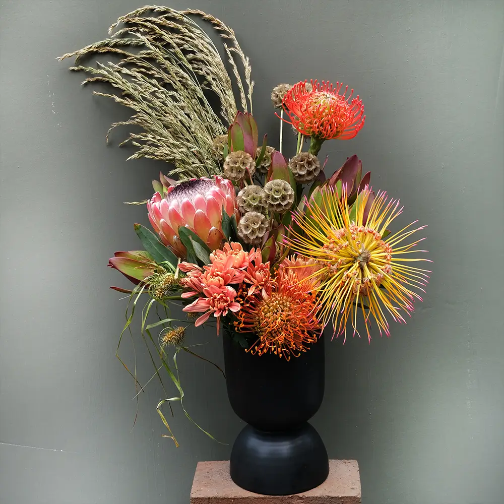 Protea Mix