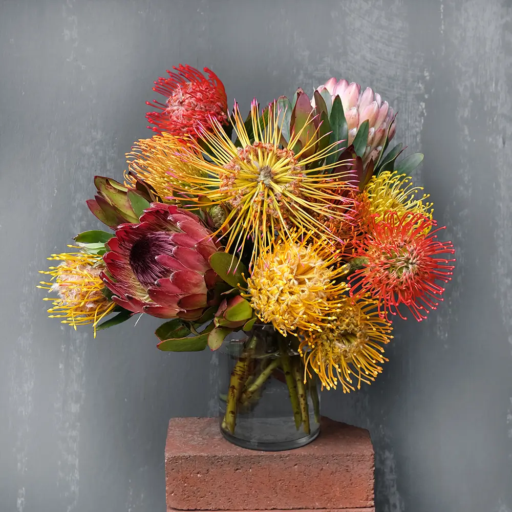 Protea Mix